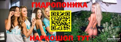 мяу мяу мука Будённовск