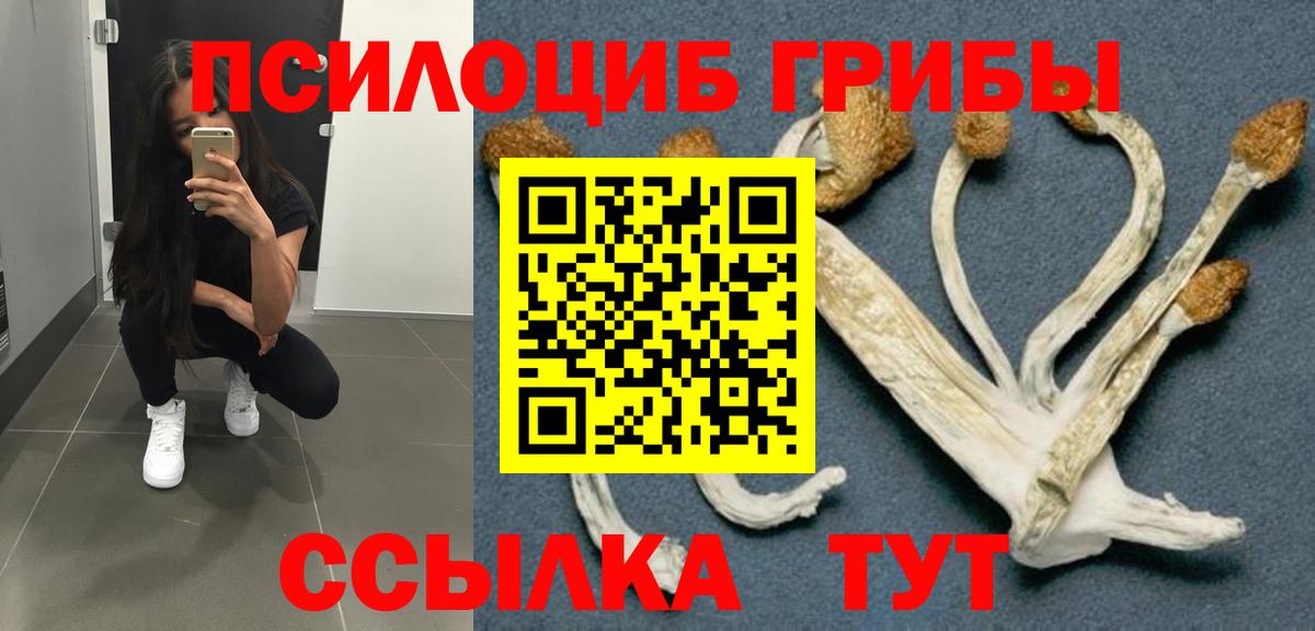 Псилоцибиновые грибы мицелий Смоленск