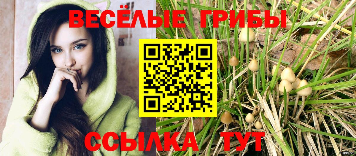 Смоленск  Галлюциногенные грибы Magic Shrooms  Псилоцибиновые грибы Psilocybine cubensis  Вход с VPN 